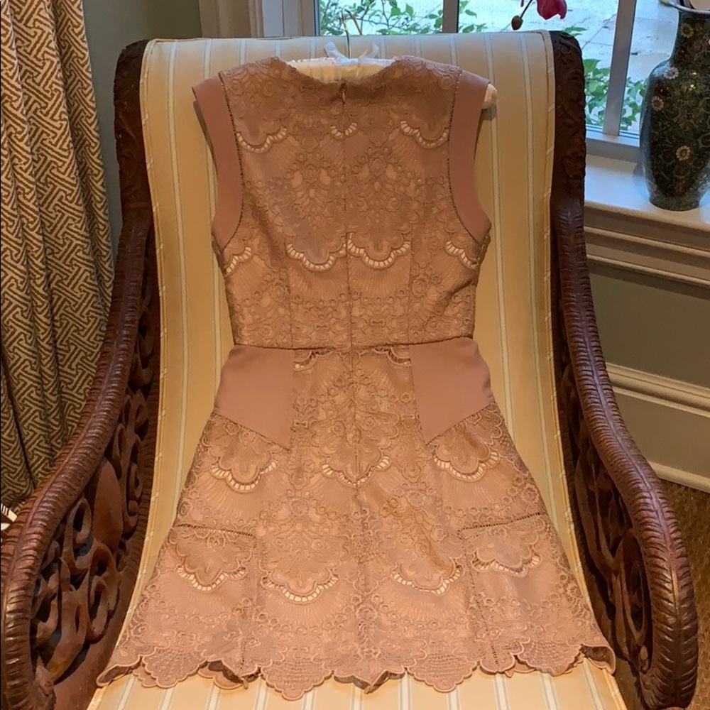 REISS FEMININE LACE FIT AND FLARE DRESS IN NUDE SIZE 4 - Picture 12 of 14